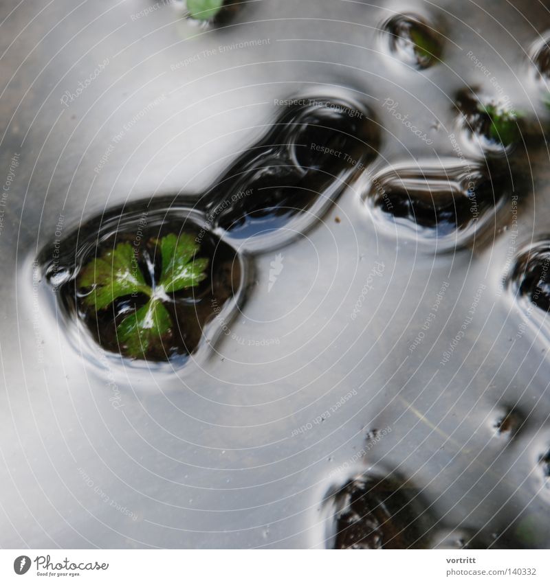 konservierung Wasser Wassertropfen Tropfen Teich Schatten Chemische Elemente Chemische Verbindung Physik Molekül Urelemente Wissenschaften Blatt Milch abstrakt
