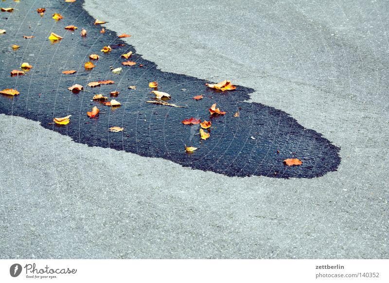 Polkappe Pfütze nass Wasser Wasserlache sprengen auslaufen spülen Reinigen Blatt Herbstlaub Beton Asphalt Kurzurlaub Verkehrswege Vergänglichkeit stadtreinigung