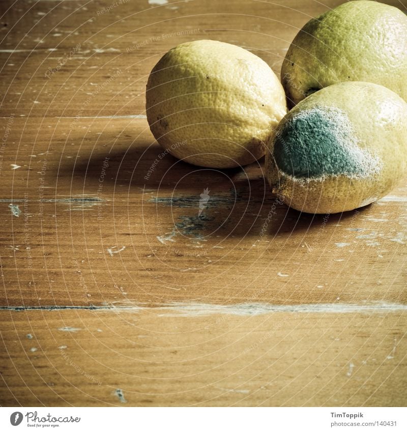 Integrationsgruppe Zitrone verdorben verrotten verfaulen abgelaufen Zitrusfrüchte sozial Tisch Holztisch Vergänglichkeit Küche Ernährung Frucht Schimmelpilze