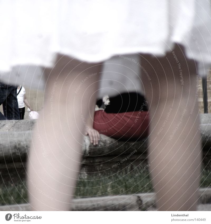 Durch den Rock weiß Beine rot Hose Brunnen Paparazzo Zoomeffekt Frau druch zwischen hindruch frau sitzen Voyeurismus