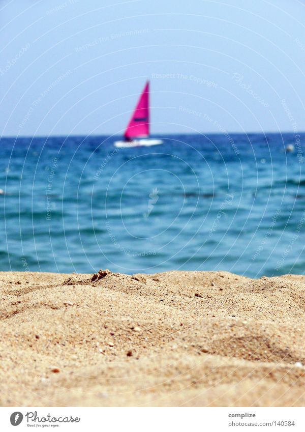 Strand mal minimal Sommer Wasserfahrzeug Segelboot rosa Segeln Surfbrett Meer See Luftaufnahme Sandstrand Ferien & Urlaub & Reisen Wassersport Segelschiff