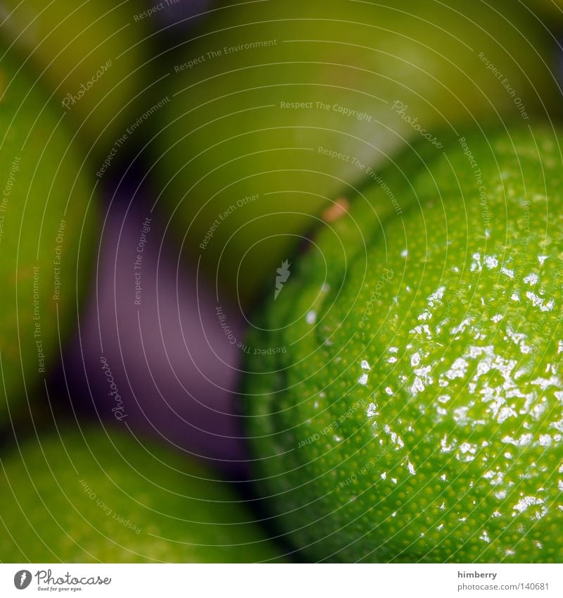 lime time Limone Zitrone sauer Frucht Vitamin Vitamin C Gesundheit Zutaten grün fokussieren Perspektive Ernte Ernährung Lebensmittel Schalen & Schüsseln