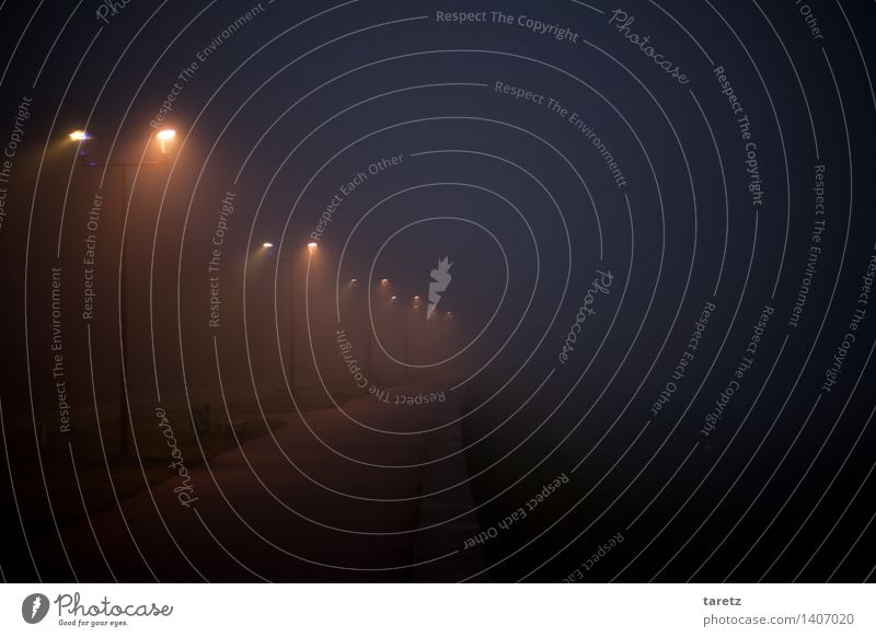 Leuchtpfad Krakow Einsamkeit Nebel Nacht Straßenbeleuchtung Lichtkegel leer Wege & Pfade zielstrebig ungewiss Zukunft kalt dunkel Hoffnung wegweisend Ferne
