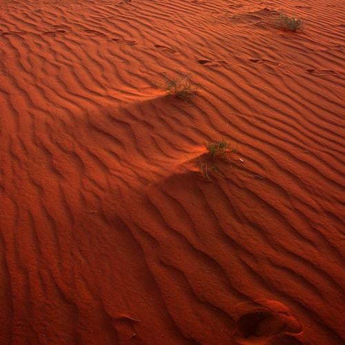 Sandwellen Wüste beige Sandbank Erde Wellen Dürre Sturm Sandverwehung Gras Grasbüschel Spuren Sonnenuntergang trocken unfruchtbar verbrannt wehen Wind Jordanien