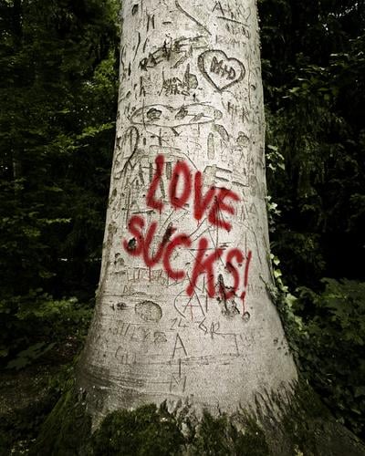 LOVE SUCKS! Baum Zeichen Schriftzeichen Graffiti Herz Liebe Wut braun rot schwarz Gefühle Traurigkeit Liebeskummer Enttäuschung Einsamkeit Verzweiflung Ärger
