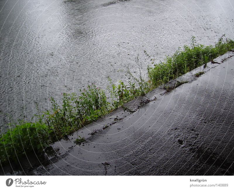 Sonntagmorgen Ruhr Wasser Fluss Regen nass feucht Wege & Pfade Asphalt grau schlechtes Wetter Flussufer Grünpflanze Pflanze Wegrand Luftblase glänzend diagonal