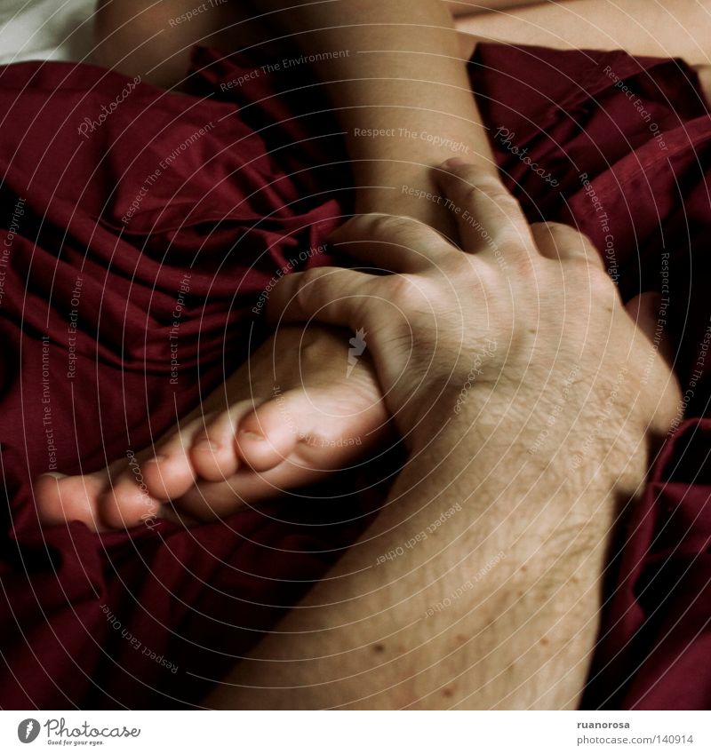 Handwerk Fuß berühren Finger Savanne Bett Leidenschaft rot weiß Beine Tastsinn Haut