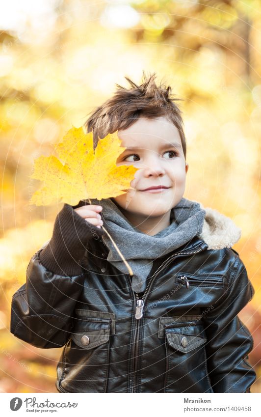 Hier bin ich Kind Kindheit 1 Mensch 3-8 Jahre Lächeln Herbst herbstlich Herbstlaub Herbstwald Lederjacke hübsch schön Blatt zeigen Verschmitzt brünett Farbfoto