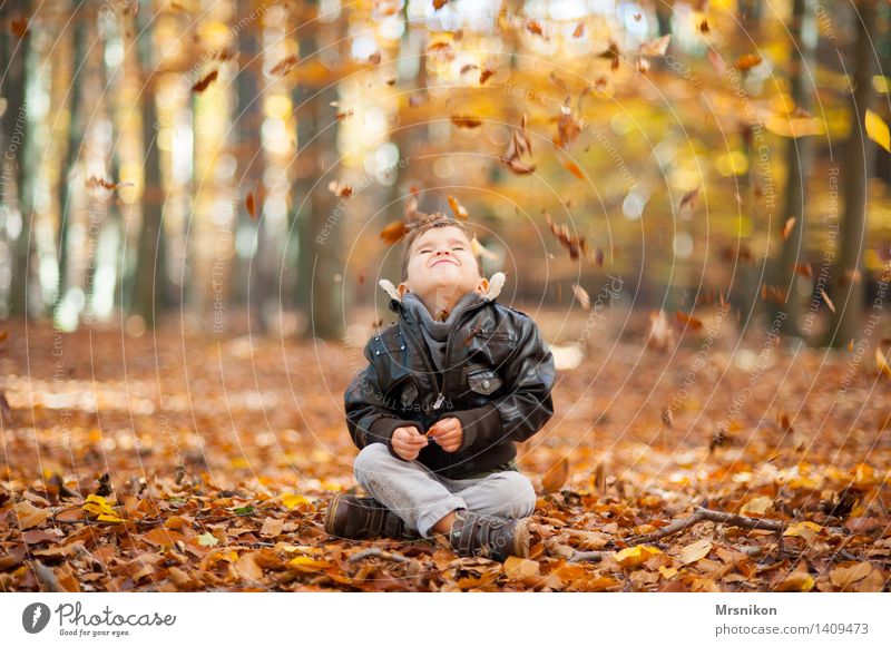 Leise rieseln die Blätter maskulin Kind Junge Kindheit Leben 1 Mensch 3-8 Jahre sitzen Herbst herbstlich Herbstwald Herbstlaub Blatt fallen Lederjacke spaßig
