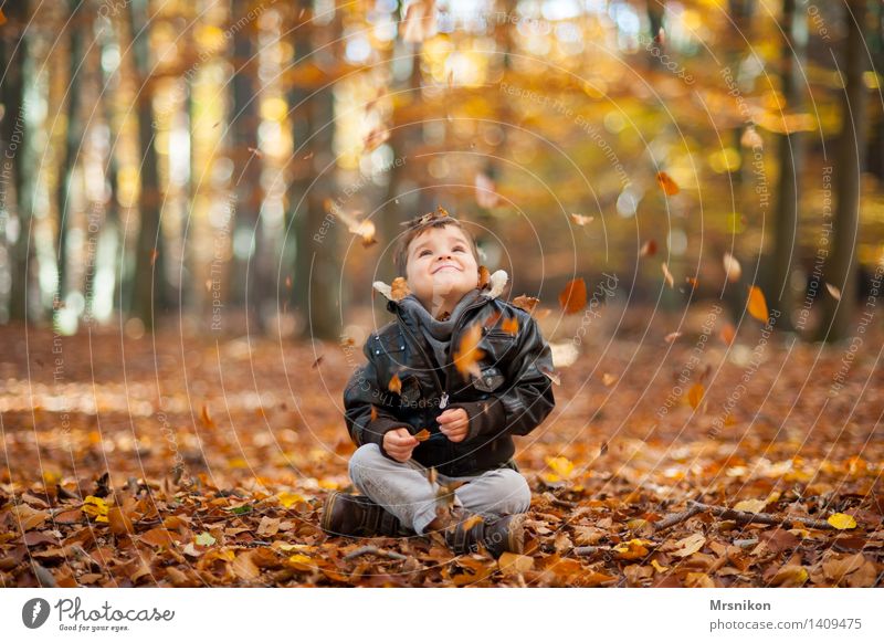 herbstlich Mensch maskulin Kleinkind Junge Kindheit 1 3-8 Jahre hocken sitzen Herbst Herbstlaub Herbstfärbung Herbstwald Herbstlandschaft Fröhlichkeit Blatt