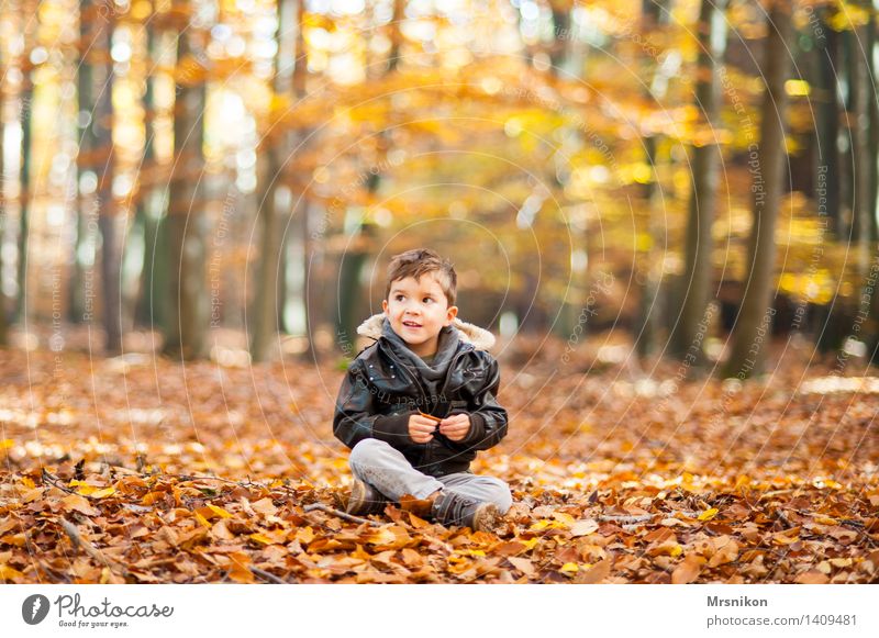 Im Herbstwald Kind Kleinkind Junge Kindheit Leben 1 Mensch 3-8 Jahre Natur Wald Lächeln sitzen herbstlich Herbstlaub Waldboden Blatt Laubbaum Laubwald