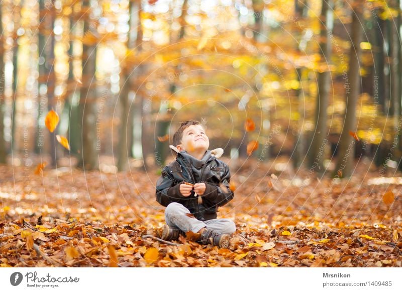 Herbst Kind Kleinkind Junge Kindheit Leben 1 Mensch 3-8 Jahre Lächeln lachen Blick sitzen herbstlich Herbstlaub Herbstwald Wald Waldboden Laubwald Blatt