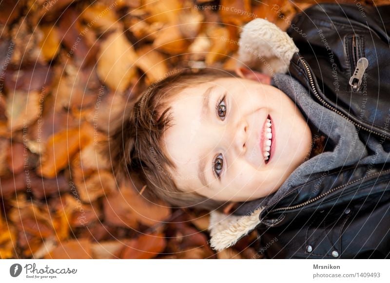 happy day Mensch Kind Kleinkind Junge Kindheit Kopf 1 3-8 Jahre Natur Herbst Wetter Schönes Wetter Blatt Lächeln lachen liegen Lederjacke Herbstlaub aufschauend