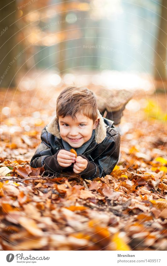 Frohsinn Spielen Kind Kleinkind Junge Kindheit 1 Mensch 3-8 Jahre Leben Freude Glück Lebensfreude Fröhlichkeit herbstlich Herbst Herbstwald Herbstlandschaft