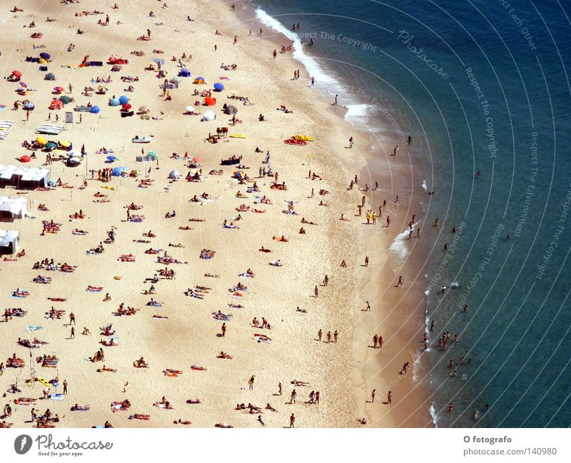 Volksbraterei in Nazaré Sommer Mensch Strand Sonnenstand Sonnenbad Portugal Durst Wasser Meer Küste Atlantikküste Sonnenstrand Meeresbrise