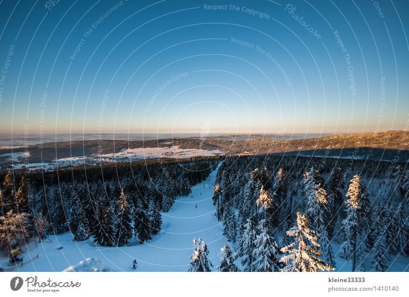 Schneebedeckte Landschaft mit Fichten Ferne Sonne Winter Berge u. Gebirge Skipiste Natur Wald blau weiß Baumstumpf Bayern Postkarte himmel Skilanglauf