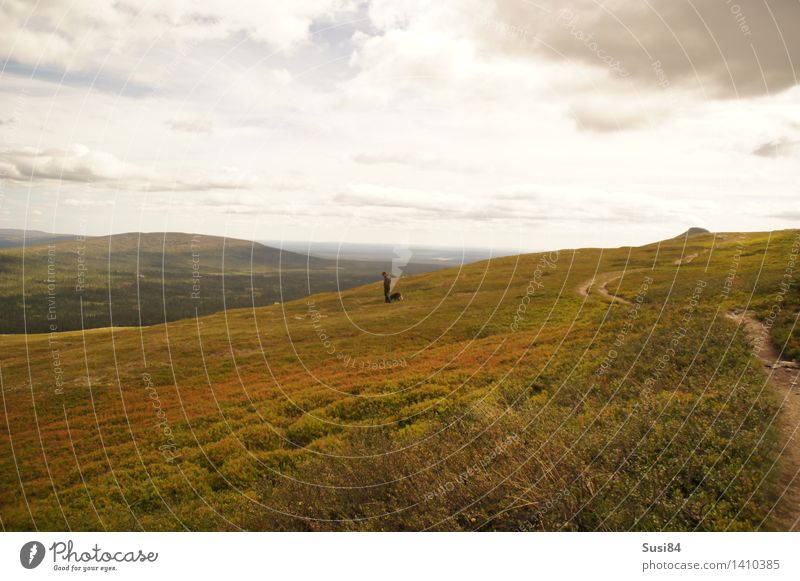 Schwedische Weite Mensch maskulin 1 Natur Landschaft Pflanze Wolken Sträucher Moos Wildpflanze Blaubeeren Moltebeeren Hügel Tundra Hund natürlich Einsamkeit
