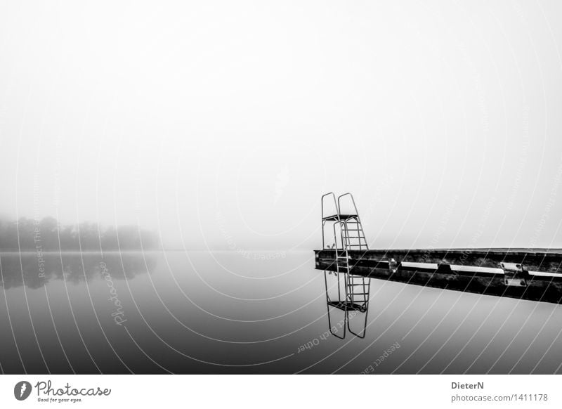 Still ruht der See Landschaft Wasser Herbst Nebel Seeufer grau schwarz weiß Steg Sprungbrett Baum Schwimmbad Schwarzweißfoto Außenaufnahme Menschenleer