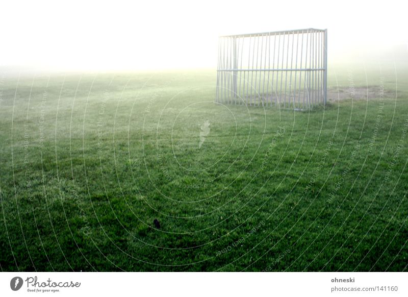 Frühes Ausgleichstor ruhig Spielen Schnee Sport Ballsport Fußball Wassertropfen Nebel hell Hoffnung Einsamkeit Tor gleißend Tau Erkenntnis leer