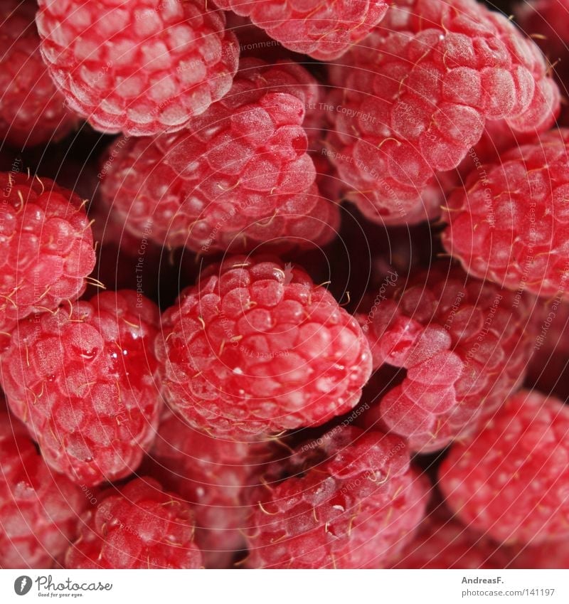 Himbeeren Fruchtzucker rot frisch saftig Vitamin Ernährung Hintergrundbild Muster süß vitaminreich aromatisch Limonade Erfrischung Sommer raspberry himbeer