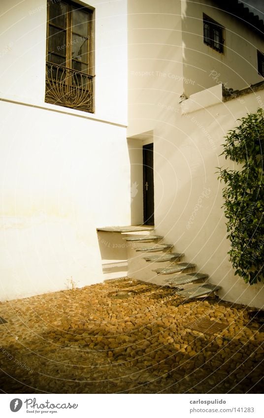 orive Europa mediterran alt viejo Einsamkeit oben Escaleras Andalusien andalusisch Cordoba Spanien españa