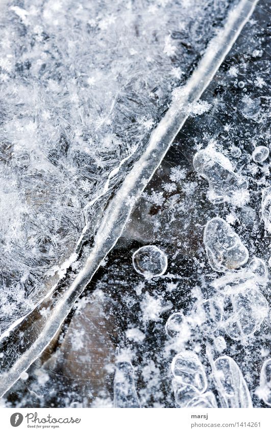 Diagonale Natur Winter Eis Frost kalt gefroren diagonal Luftblase Schneekristall Farbfoto Gedeckte Farben Außenaufnahme abstrakt Muster Strukturen & Formen