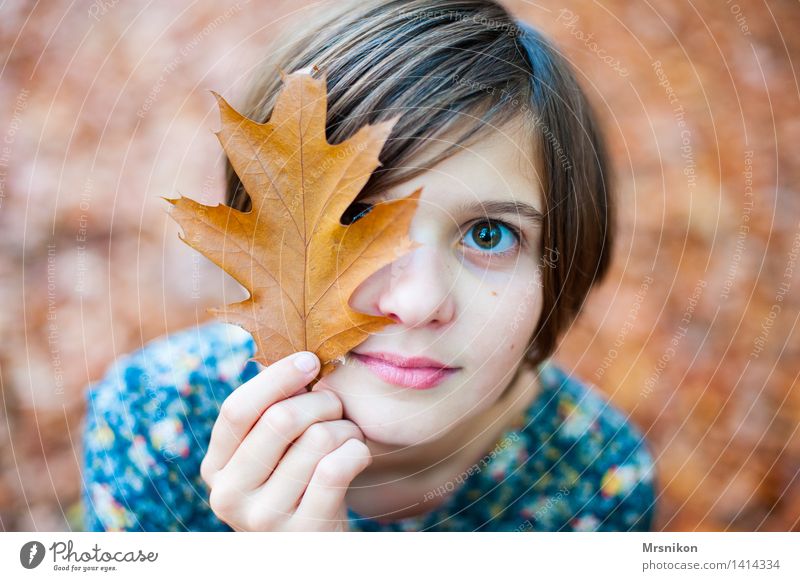 Herbst Mensch Mädchen Kindheit Jugendliche Leben 1 8-13 Jahre Schönes Wetter schön herbstlich Herbstlaub Blatt Laubwald Mädchengesicht Tag