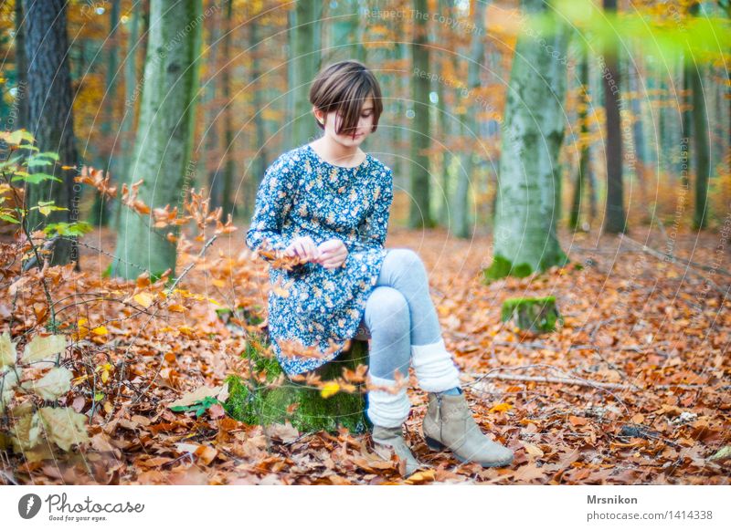 Wo ist der Wolf Mädchen Kindheit Jugendliche 1 Mensch 8-13 Jahre Denken Herbst Herbstlaub herbstlich Herbstwald Herbstbeginn Stulpe Kleid mädchenhaft schön