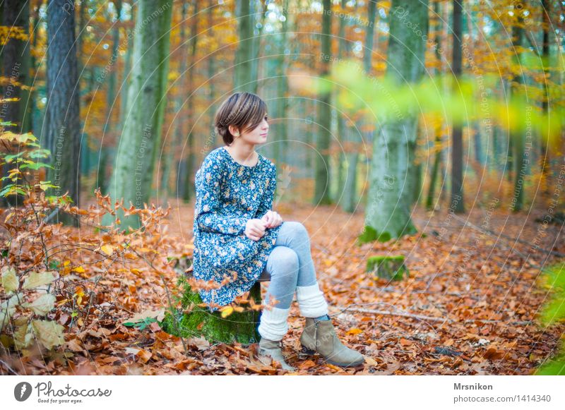 Wald Kind Mädchen Kindheit Jugendliche 1 Mensch 8-13 Jahre kalt dünn Herbst Herbstwald Herbstlaub herbstlich Stulpe Stiefel Kleid mädchenhaft Mädchengesicht