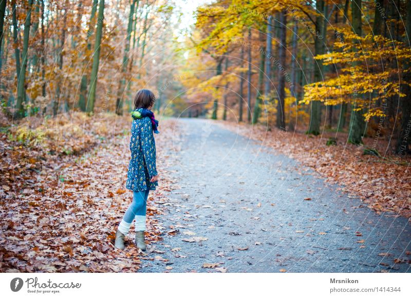 Warten feminin Kind Mädchen Kindheit Jugendliche 1 Mensch 8-13 Jahre kalt Herbst Herbstlaub Herbstwald herbstlich Herbstlandschaft wandern warten Blick ruhig