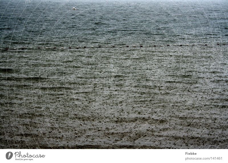 SommerRegen Wasser See Meer Gewitter grau nass Schwimmbad Wellen Wassertropfen Tropfen Unwetter Meteorologie Wetter schlecht Schönes Wetter Boje Orientierung