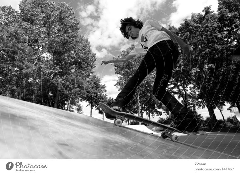 LANDING Skateboarding Sport Jugendliche Stil lässig Baum Park Funsport aufkommen Parkdeck Holzbrett Mensch Jeanshose Coolness ramp Natur