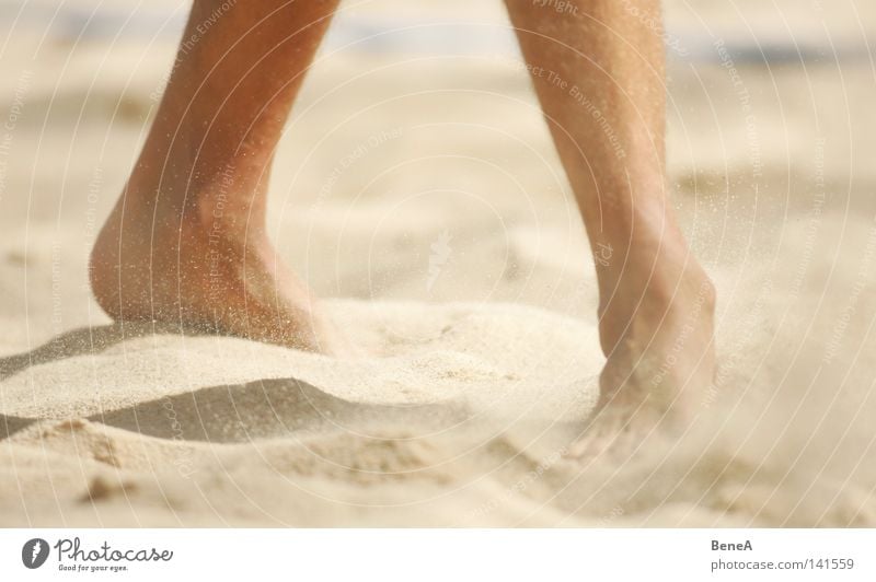 Coconut Beach Strand Staub beige Sand gehen stehen wandern Ferien & Urlaub & Reisen Meer Erholung Volleyball ruhig tief Süden fein Untergrund standhaft Mann