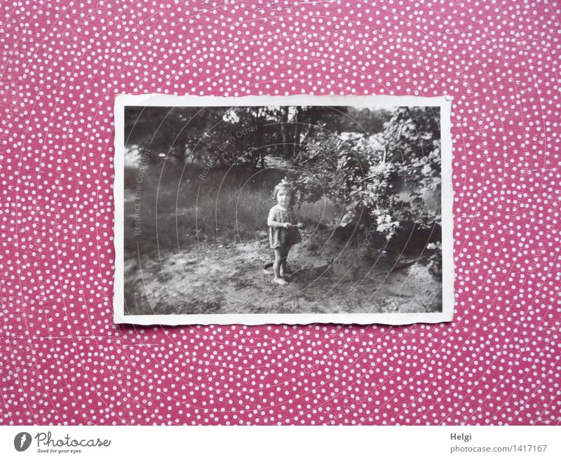 lang ist´s her... | auf einem schwarz-weiß-Foto steht ein Kleinkind in der Natur Mensch feminin Kind Mädchen Kindheit 1-3 Jahre Umwelt Landschaft Sommer Baum