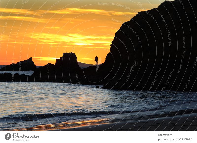 Schattenbild eines Mannes bei Sonnenuntergang auf einer Felsenanlegestelle Mensch 1 Natur Landschaft Sonnenaufgang Sommer Strand sportlich Erfolg gelb orange