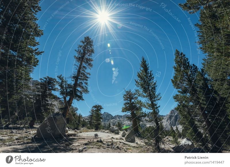 Yosemite National Park Wellness harmonisch Erholung ruhig Tourismus Ausflug Abenteuer Ferne Freiheit Sommer wandern Umwelt Natur Landschaft Urelemente Himmel