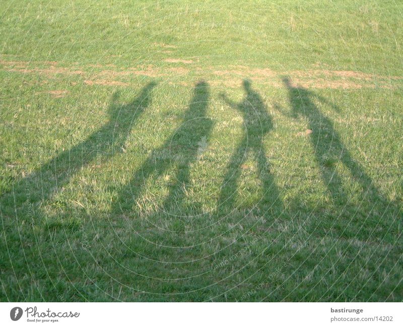 Schattengruppe Wiese Gras Menschengruppe Rasen shadow group