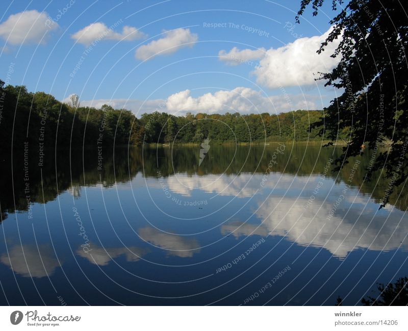 wendorfer see I Waldsee See Mecklenburg-Vorpommern ruhig Reflexion & Spiegelung Symmetrie schmooksberg