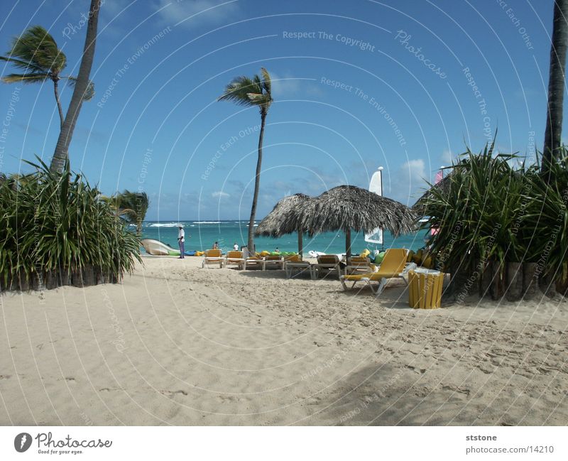 Strand Punta Cana Meer Palme Sonnendach Wasser Sand Wind Kuba