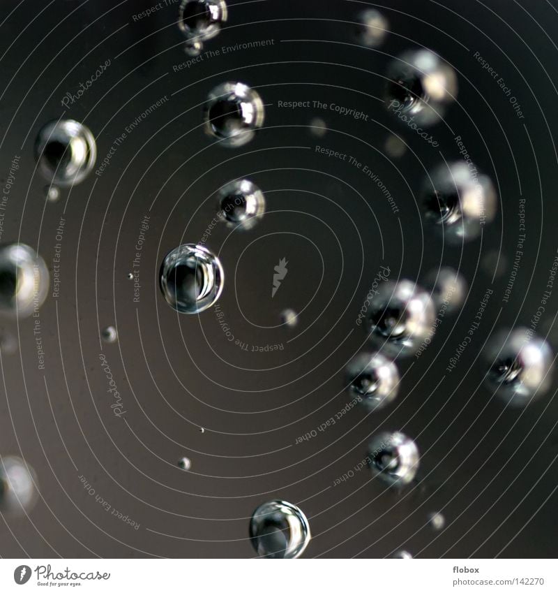 Mr. BLUBB Luft Wasser Wassertropfen Kugel glänzend Flüssigkeit grau schwarz silber Luftblase Wasserblase Sauerstoff Kohlensäure Mineralwasser Kohlendioxid