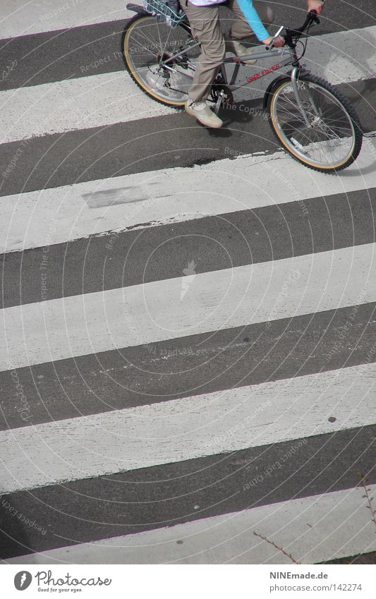 StripeRide Fahrrad Streifen Zebrastreifen Reifen Fahrradfahren Überqueren grau weiß Straße Geschwindigkeit Fahrradlenker Mensch Stadt Hose Turnschuh Pedal