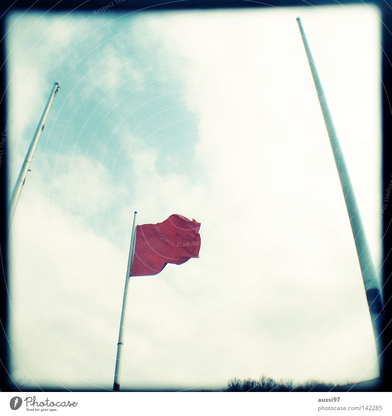 Flag day Fahne Beflaggung rot analog Sucher umrandet Rahmen Schilder & Markierungen Dekoration & Verzierung Mundgeruch Landesfahne Landesflagge Wind wehen