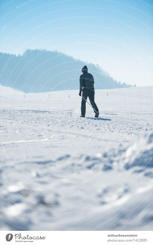 Langlaufen Winter Wintersport Sportler Langläufer Skipiste Mensch maskulin Junger Mann Jugendliche Erwachsene Leben 1 30-45 Jahre Natur Landschaft Schnee Feld