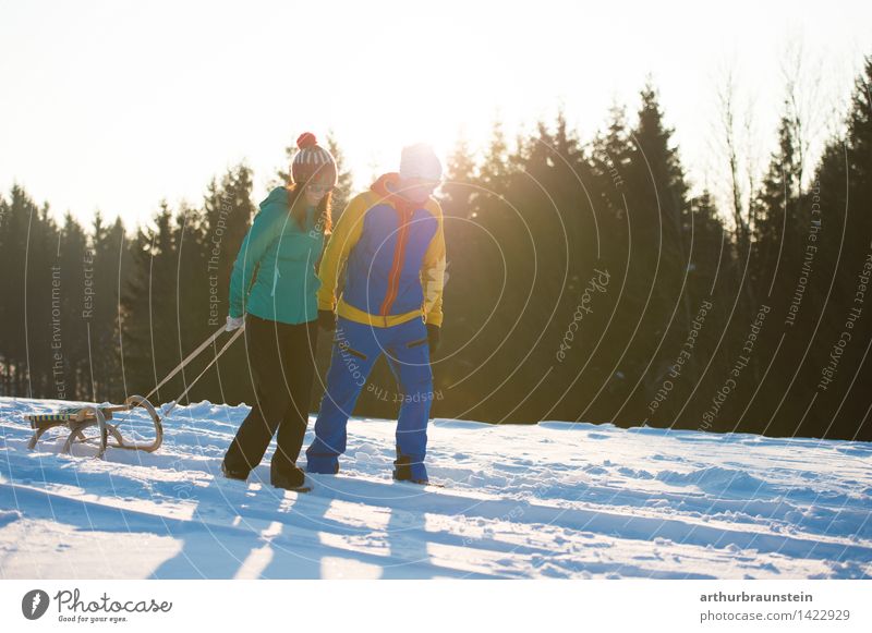 Schlittenfahren im Winter Freude sportlich Freizeit & Hobby Tourismus Ausflug Schnee Winterurlaub Wintersport Skipiste Mensch maskulin feminin Junge Frau