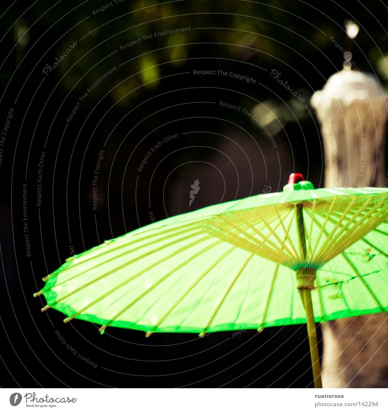 Lepiota Sonnenschirm Regenschirm Schatten Gewöhnliche Pestwurz Sommer Handwerk Schutzschild grün Farbe Farbstoff Schilder & Markierungen Versicherung Sicherheit