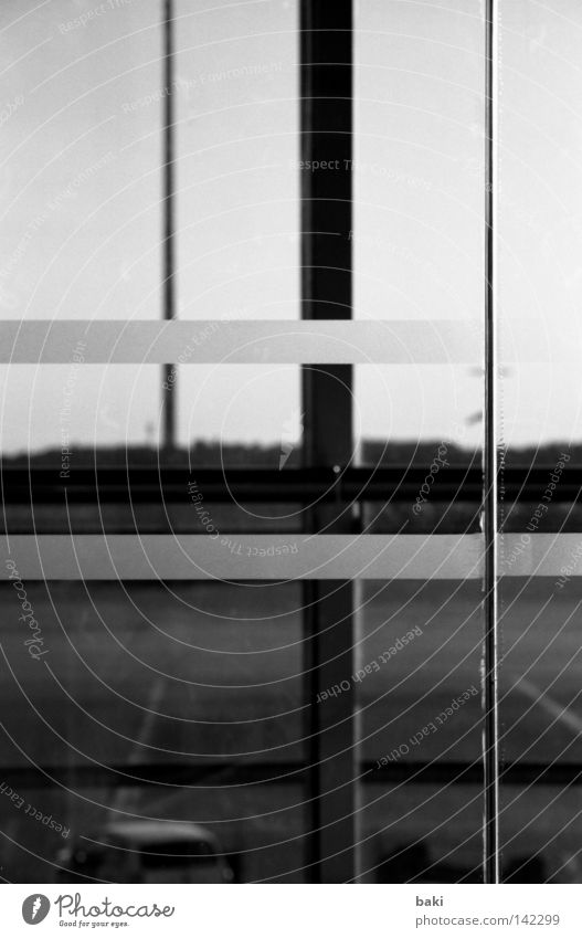 Geradelinien Linie Strukturen & Formen Streifen Flughafen KFZ Asphalt Schilder & Markierungen Straße Aussicht Fensterscheibe Glas Glasscheibe durchsichtig