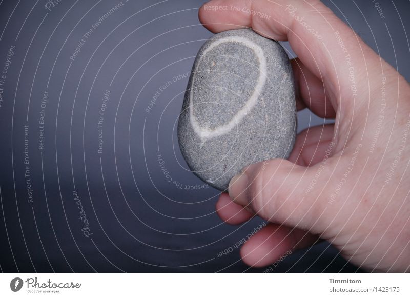 Ein Stein. Hand Finger Glücksbringer Linie einfach grau weiß festhalten zeigen Kieselsteine Farbfoto Innenaufnahme Nahaufnahme Textfreiraum links Tag Licht