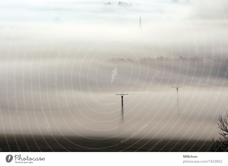 Über Land Natur Landschaft Herbst Nebel Feld warten grau ruhig Endzeitstimmung kalt Surrealismus bedeckt verstecken unklar Elektrizität Strommast Kabel