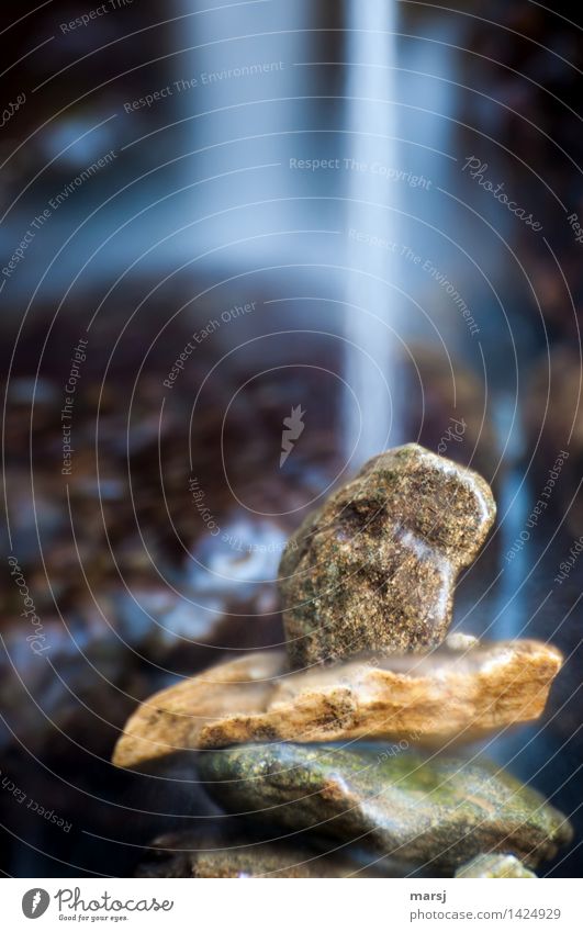 Wasserfall-Steinmandl Leben harmonisch Sinnesorgane Erholung ruhig Meditation Natur fließen dunkel authentisch Zusammensein Steinmännchen natürlich Farbfoto