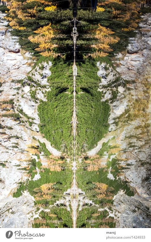 streng geheim | das Monster vom... Natur Landschaft Herbst Baum Felsen Seeufer außergewöhnlich bedrohlich authentisch gruselig natürlich mehrfarbig Überraschung